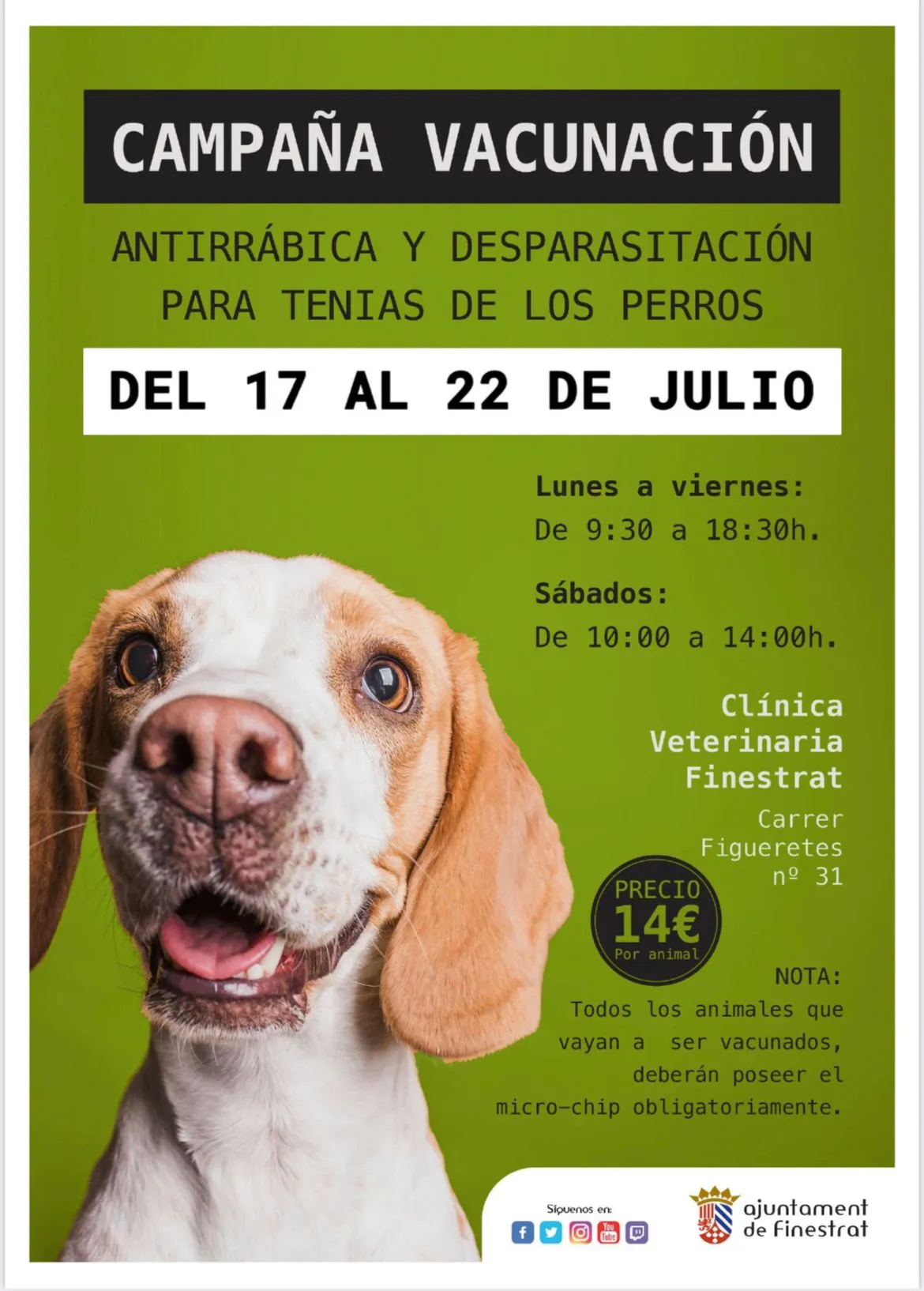 vacunación perros fines 23